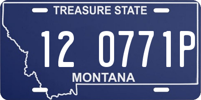 MT license plate 120771P