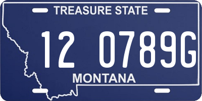 MT license plate 120789G