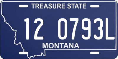 MT license plate 120793L