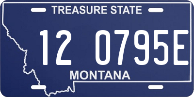 MT license plate 120795E