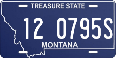 MT license plate 120795S
