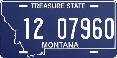 MT license plate 120796O