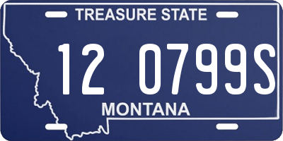 MT license plate 120799S