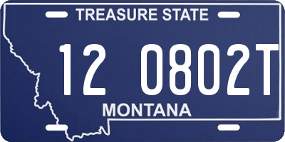MT license plate 120802T