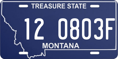 MT license plate 120803F