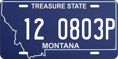 MT license plate 120803P