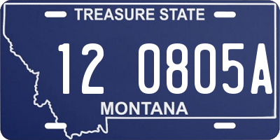 MT license plate 120805A