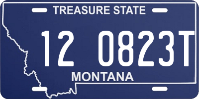 MT license plate 120823T