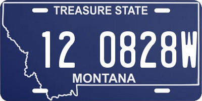 MT license plate 120828W