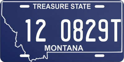 MT license plate 120829T