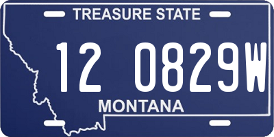 MT license plate 120829W