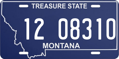 MT license plate 120831O
