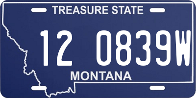 MT license plate 120839W