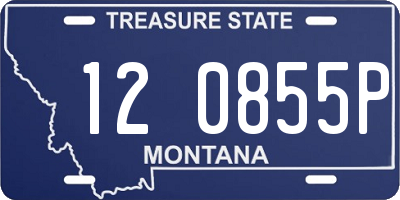 MT license plate 120855P