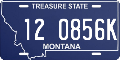MT license plate 120856K