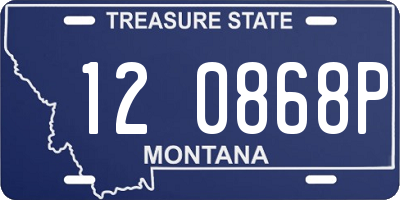MT license plate 120868P