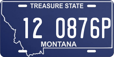 MT license plate 120876P