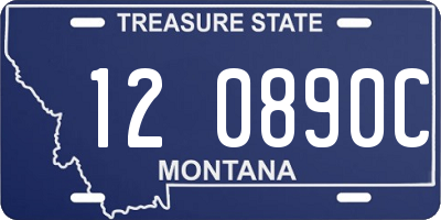 MT license plate 120890C