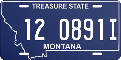 MT license plate 120891I