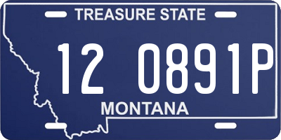 MT license plate 120891P