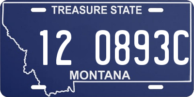MT license plate 120893C