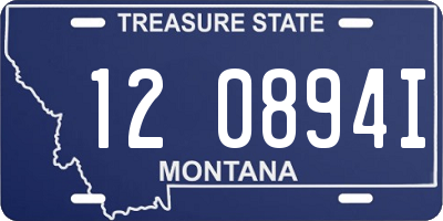 MT license plate 120894I