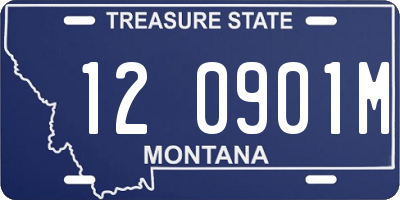 MT license plate 120901M