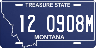 MT license plate 120908M