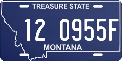 MT license plate 120955F