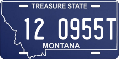 MT license plate 120955T