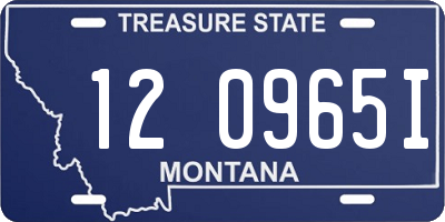 MT license plate 120965I