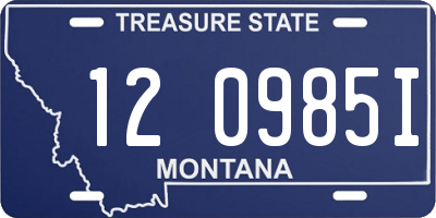 MT license plate 120985I