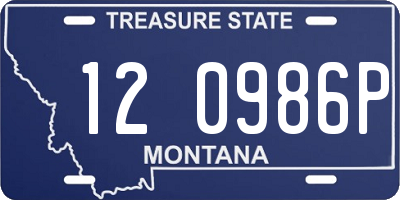 MT license plate 120986P