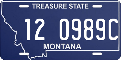 MT license plate 120989C