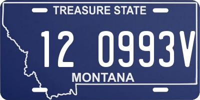 MT license plate 120993V