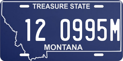 MT license plate 120995M