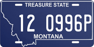 MT license plate 120996P