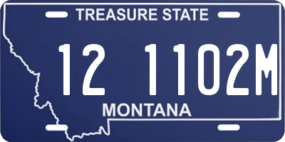 MT license plate 121102M