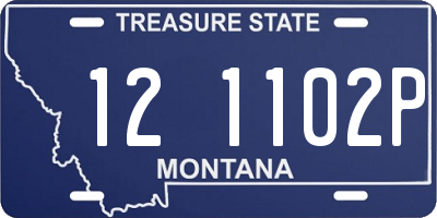 MT license plate 121102P