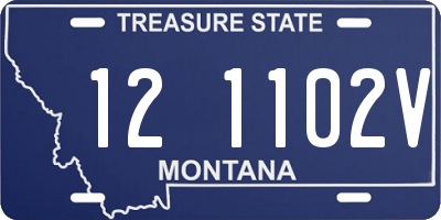 MT license plate 121102V