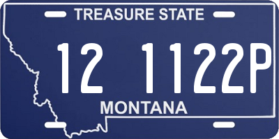 MT license plate 121122P