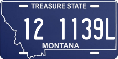 MT license plate 121139L