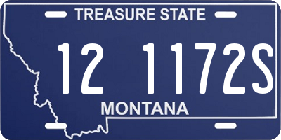 MT license plate 121172S