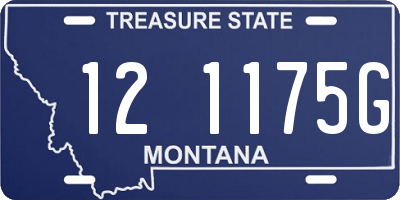 MT license plate 121175G