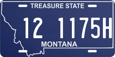 MT license plate 121175H
