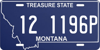 MT license plate 121196P