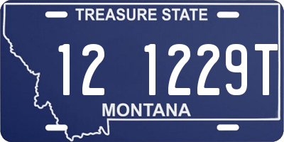 MT license plate 121229T