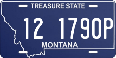 MT license plate 121790P