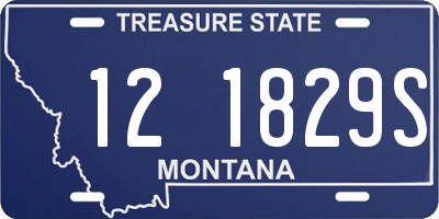 MT license plate 121829S