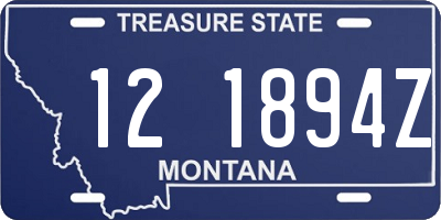MT license plate 121894Z
